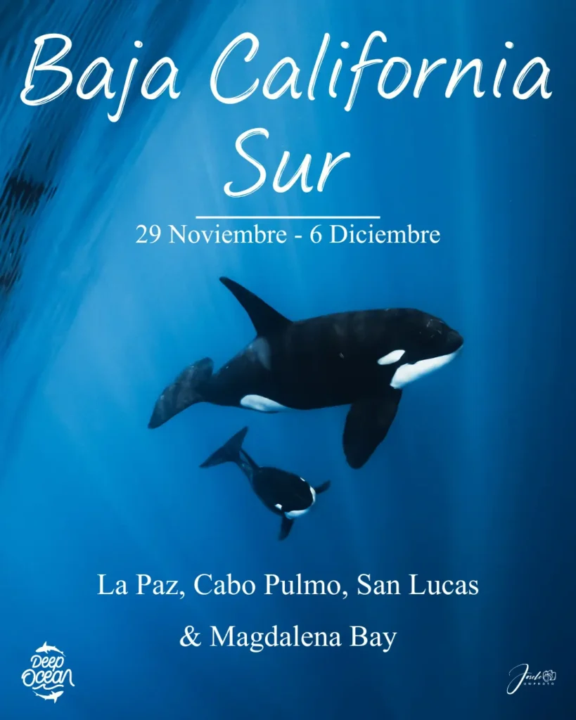 Portada Baja California