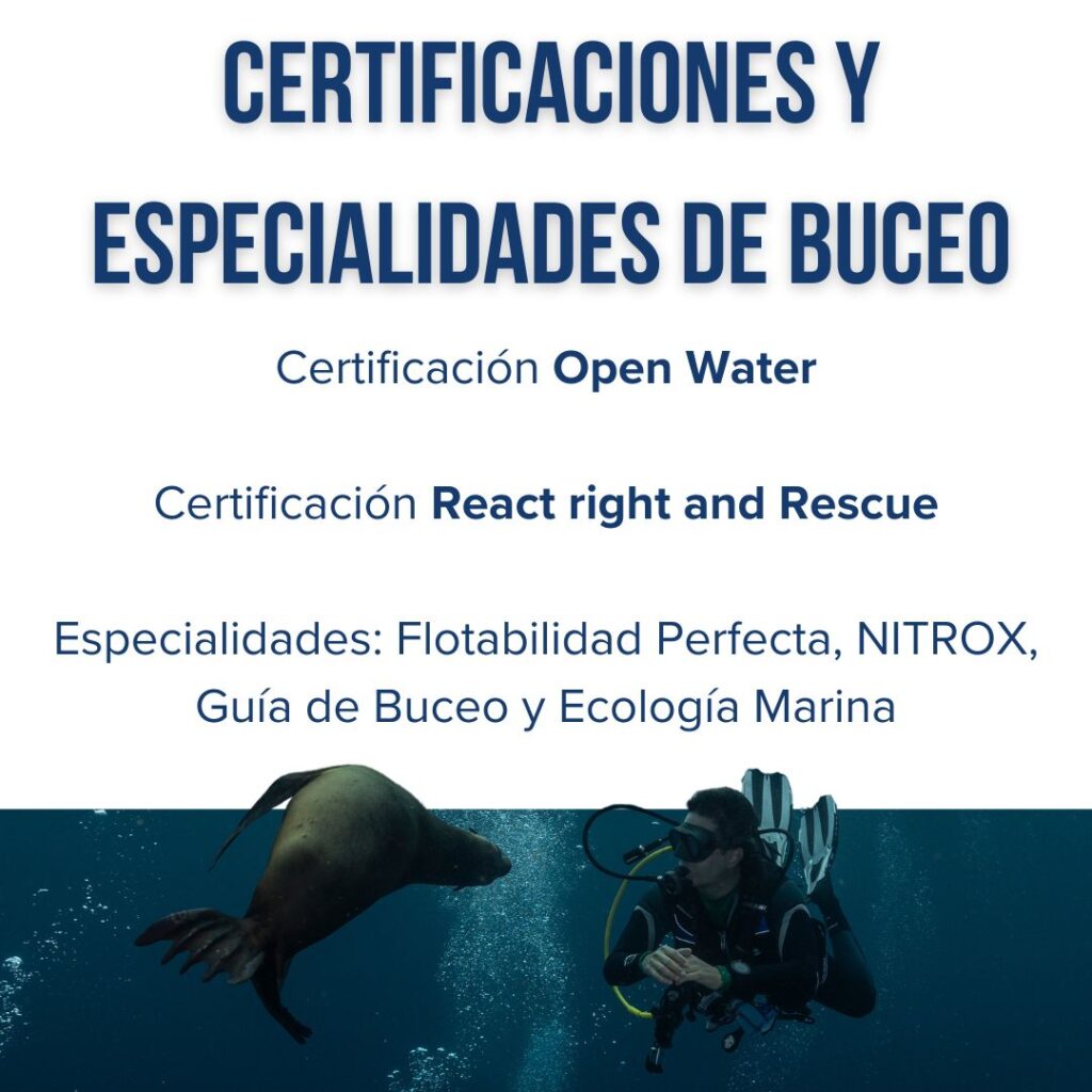 Certificación Open Water

Certificación React right and Rescue

Especialidad de Flotabilidad Perfecta

Especialidad de NITROX

Especialidad de Guía de Buceo

Especialidad Ecología Marina