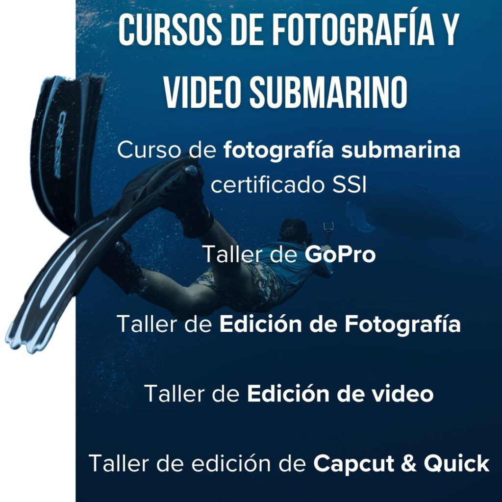 Curso de fotografía submarina 
certificado SSI.

Taller de GoPro o cámara de acción.

Taller de Edición Fotografía.

Taller de Edición Básica de Premiere.

Taller de edición de Capcut & Quick